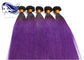 20 πορφυρό βραζιλιάνο ευθύ χρώμα Ombre ύφανσης τρίχας ίντσας για Brunettes προμηθευτής
